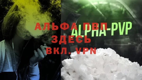 ешки Корсаков