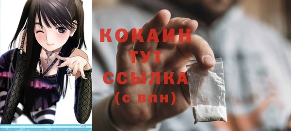 ПСИЛОЦИБИНОВЫЕ ГРИБЫ Коряжма
