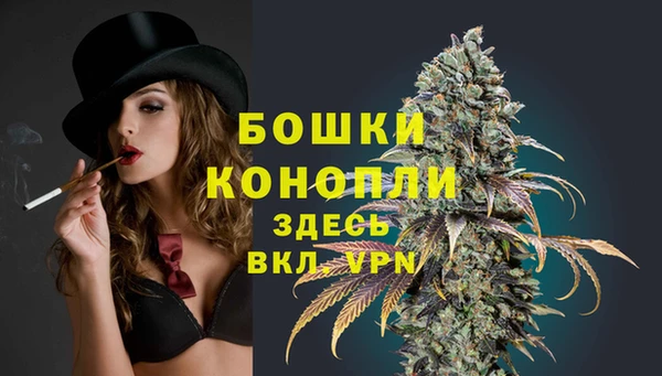 гашик Волосово