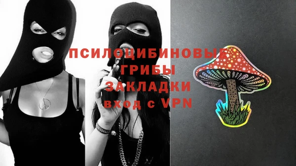 ешки Костерёво