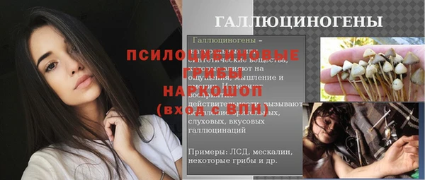 гашик Волосово