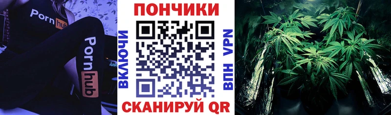 кракен сайт  Вилюйск  мориарти клад  как найти   Каннабис SATIVA & INDICA 